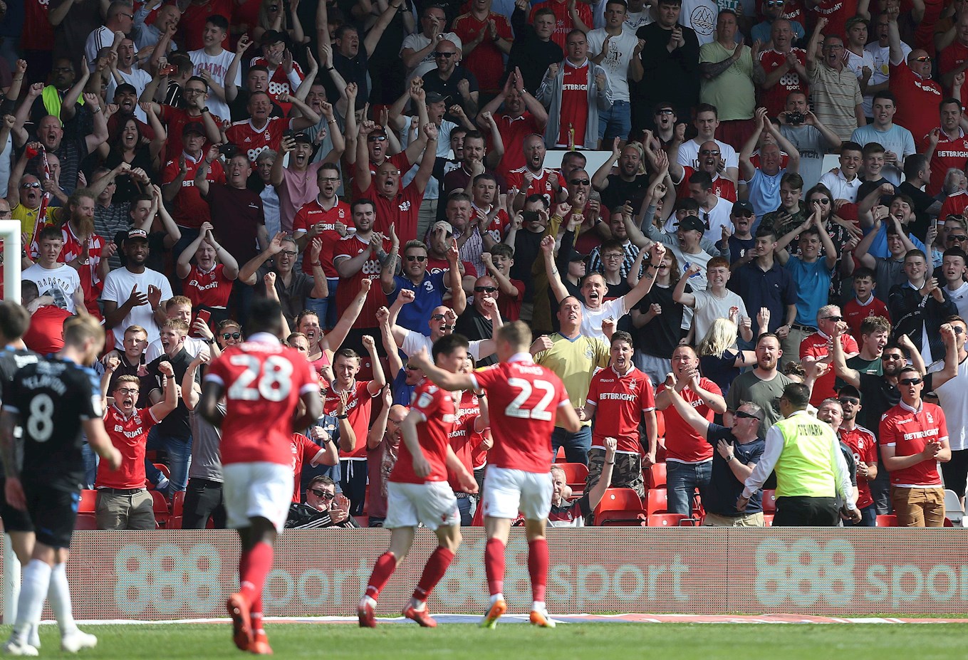 Forest celebrate