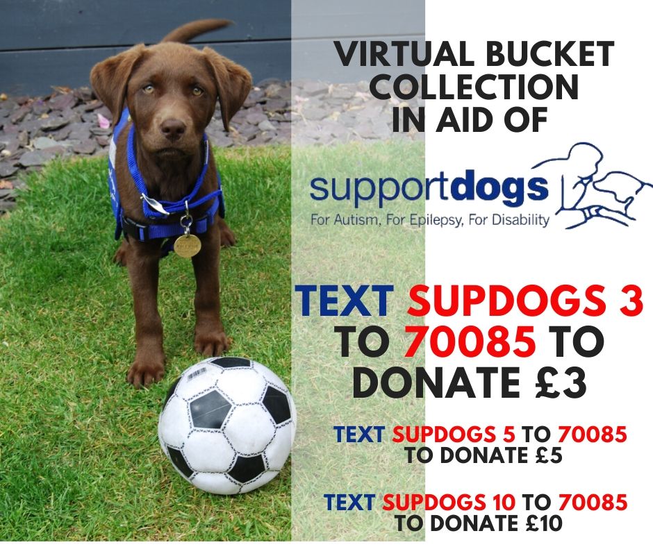 Support Dogs donation