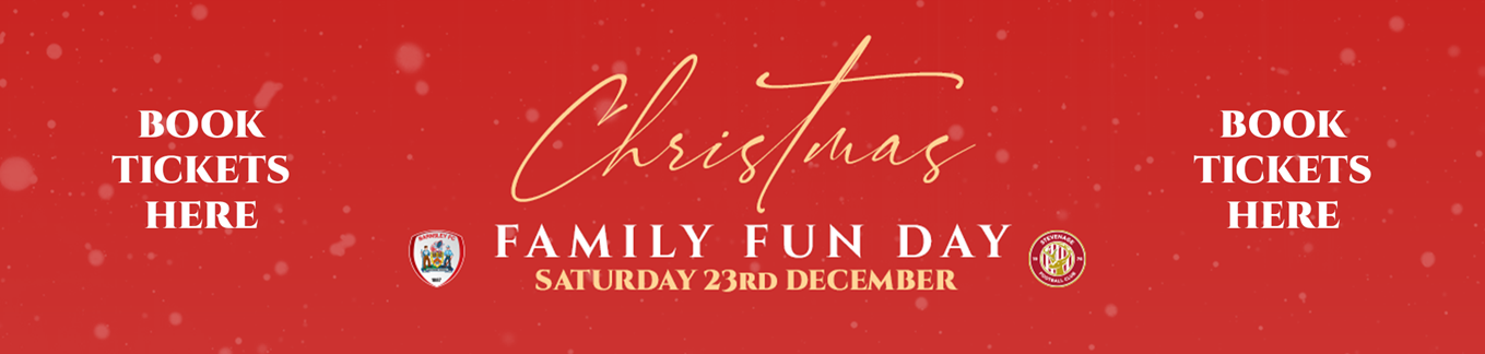 Christmas Family Fun Day web banner v2.png